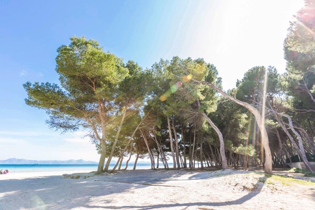 Pinya Villa Port de Alcudia  Ngoại thất bức ảnh